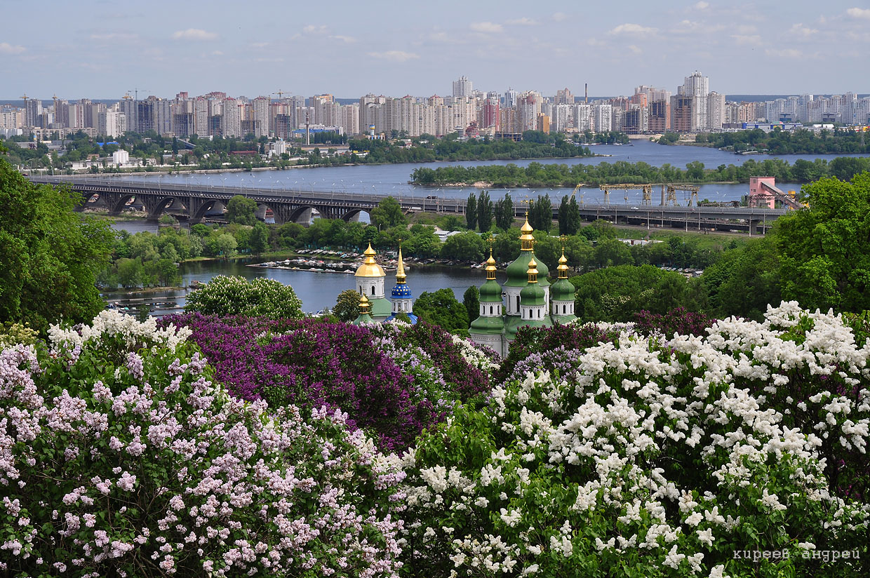 Kiev (Киев)